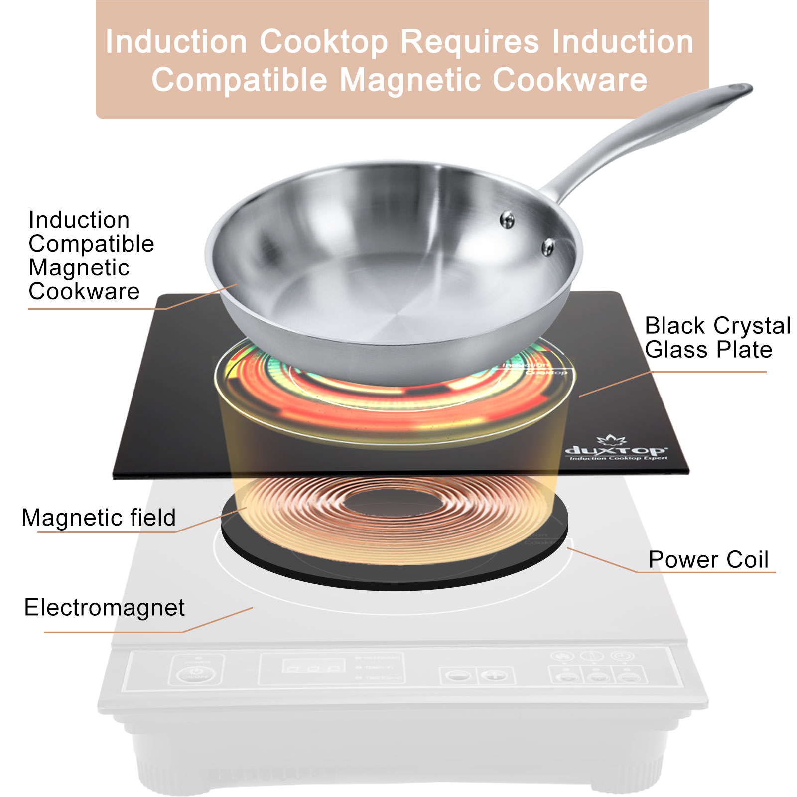 In-Depth Product Review: Secura Duxtop 9100MC Portable Induction Cooker  (aka Countertop Burner)